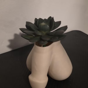 May include: A matte off-white ceramic planter shaped like a phallus and testicles, containing a dark green artificial succulent plant with layered, pointed leaves. The planter has a smooth, solid surface and a wide opening at the top.