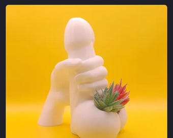 The Grower Helping Hand Planter - Funny Penis Succulent Pot, Adult Gag Gift