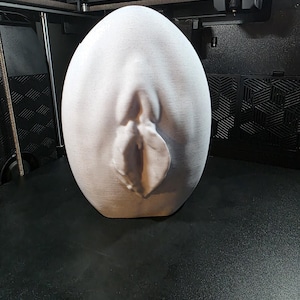 Maceta de vagina, regalo de broma