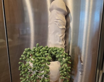 Magnetic Succulent Planter & Catch-All | 3D Printed Fridge Organizer (8" Tall)