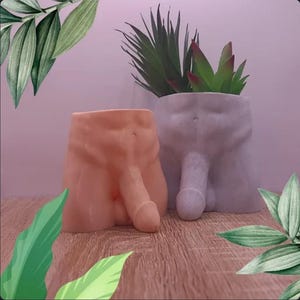 Puede incluir: Dos macetas novedosas con forma de figuras masculinas. Una es de color melocotón, la otra es gris claro. Cada maceta tiene una abertura cilíndrica para plantas y está llena de vegetación. Las macetas están sobre una superficie de madera.