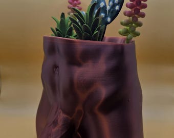 Monster Dong Planter - Funny Penis Succulent Pot, Adult Gag Gift, Drains Through Member