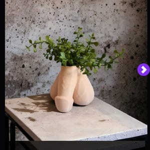 Puede incluir: Un jarrón de cerámica color melocotón con forma de genitales masculinos, que contiene plantas verdes con hojas. El jarrón está sobre una superficie de hormigón contra una pared gris texturizada. Un artículo de decoración del hogar único y artístico.