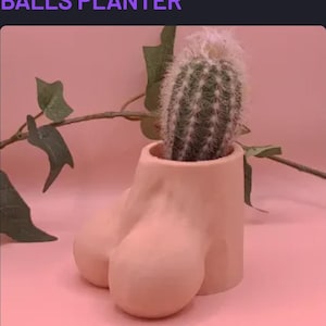 Maceta Full Bloom: atrevida, divertida e imposible de ignorar, porta hisopos de algodón, porta cepillos de dientes