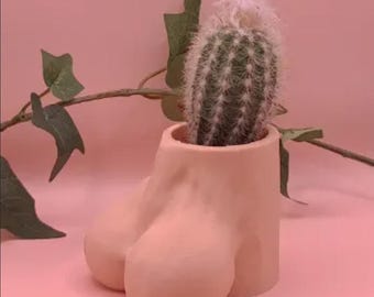 The Full Bloom Planter – Bold, Funny, and Impossible to Ignore, cotton swab holder, toothbrush holder