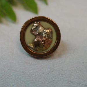 Cute Vintage Stud Button with Squirrel and Copper Toned Rim 3/4"