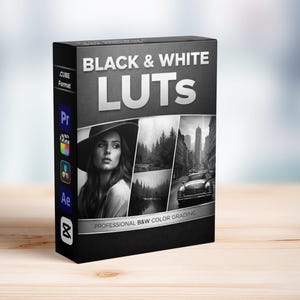 Op de afbeelding: Een zwarte doos met de tekst "BLACK & WHITE LUTS" in het wit. De doos toont zwart-wit afbeeldingen van een vrouw, een bos en een stadsgezicht. De tekst "PROFESSIONAL B&W COLOR GRADING" is ook zichtbaar.