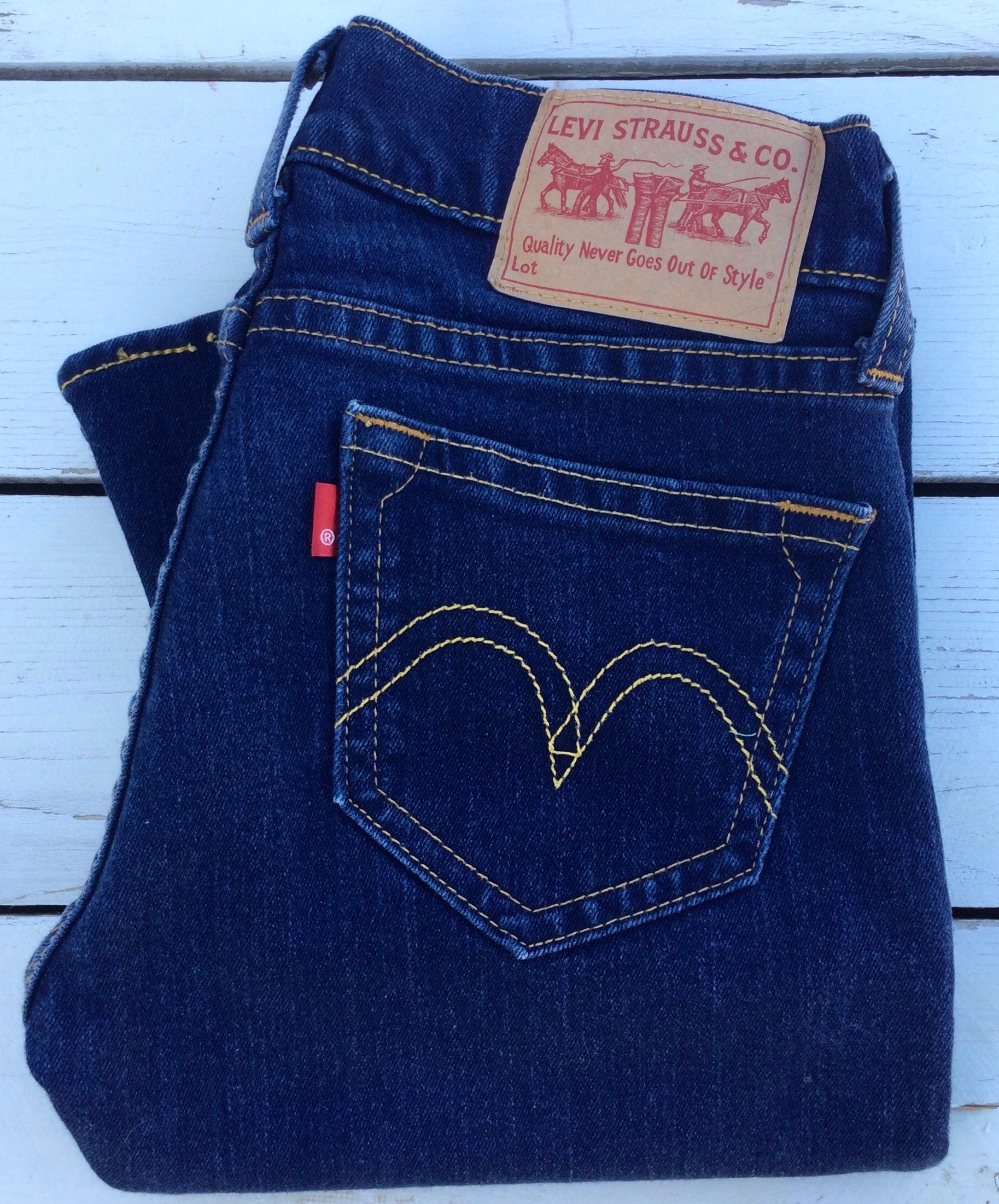 Vintage 1960s Levis Big E Flare Tapestry Print Mod Glam Denim Jeans, 60s  Mod, Vintage Glam Rock, Vintage Hip Huggers, Vintage Clothing 