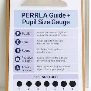 May include: A clipboard with a PERRLA Guide and Pupil Size Gauge. The guide lists steps for pupil assessment: Pupils, Equal, Round, Reactive to Light, and Accommodation. A pupil size gauge shows black circles numbered 1-6.