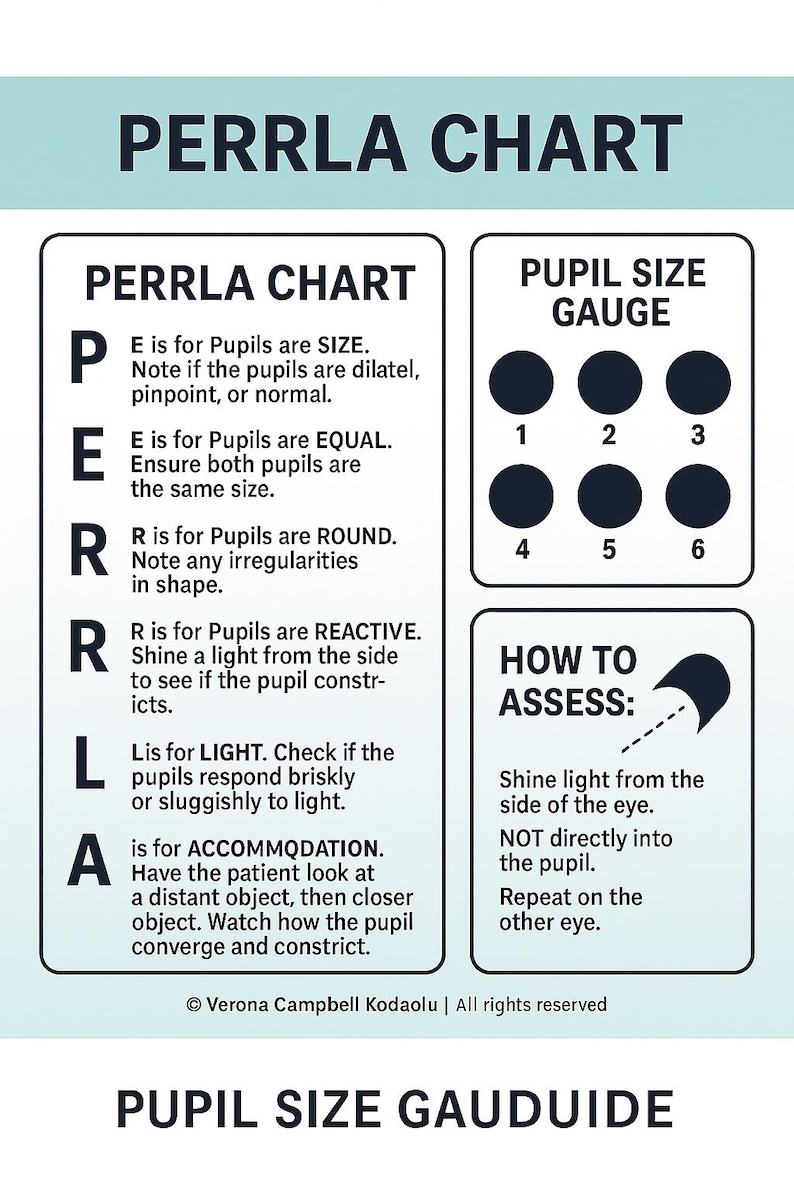 Prr R1la PERRLA Chart & Pupil Size Gauge: Nursing Assessment Guide (digital ...