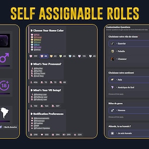 May include: A digital interface display titled SELF ASSIGNABLE ROLES featuring three dark-themed panels. The panels contain lists for gender, age, continent, name color, pronouns, VR setup, notification preferences, and class selection options.