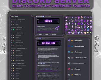 Server Discord francese preconfigurato: comunità francofona completamente pronta all'uso