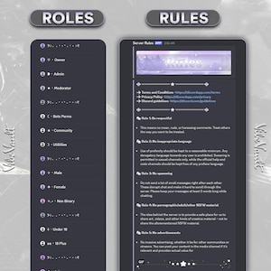 May include: A digital graphic showing two panels with text. The left panel lists server roles, including Owner, Admin, and Moderator. The right panel displays server rules, including guidelines on respect, language, and spamming.