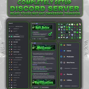 May include: A digital graphic showcasing a Discord server setup. The design features a dark gray background with green accents and text. The text reads "COMPLETELY SETUP DISCORD SERVER" and "READY TO USE INSTANT OWNERSHIP TRANSFER."