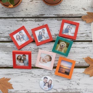 May include: A collection of small, square picture frames in various colors, including red, teal, and orange, each holding a photograph. The frames are arranged on a weathered white wooden surface, alongside potted plants and autumn leaves.