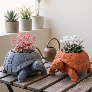 May include: Two turtle-shaped plant pots, one grey and one orange, are displayed on a wooden table. The grey pot contains pink flowers, and the orange pot holds white flowers. These decorative pots are suitable for indoor or outdoor use.