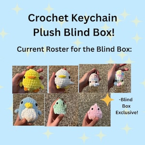 Blind Box with Handmade Crochet Amigurumi Keychains