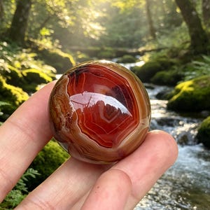 May include: A polished, spherical agate stone featuring concentric bands of deep red, burnt orange, and translucent white. The surface is smooth and reflective, showcasing natural mineral layers with a glossy finish and a distinct, rounded shape.