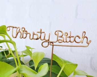 Thirsty Bitch - Wire Desk Plant Markers - Indoor Custom Herb Marker Garden Stakes Potted Terrarium Succulent Reusable Metal Industrial Chic