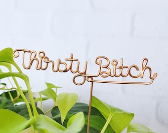 Thirsty Bitch - Wire Desk Plant Markers - Indoor Custom Herb Marker Garden Stakes Potted Terrarium Succulent Reusable Metal Industrial Chic