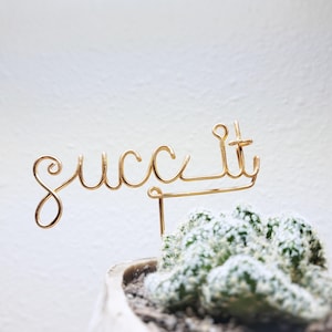 Succ It - marqueurs de plantes de bureau en fil métallique - marqueurs d'herbes aromatiques personnalisés d'intérieur piquets de jardin en pot terrarium succulentes réutilisables en métal industriel chic