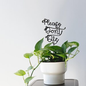 Veuillez ne pas mourir - marqueurs de plantes de bureau en fil de fer - marqueur d'herbes personnalisées d'intérieur piquet de jardin en pot terrarium succulentes réutilisables en métal industriel chic image 2