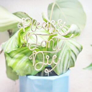 Veuillez ne pas mourir - marqueurs de plantes de bureau en fil de fer - marqueur d'herbes personnalisées d'intérieur piquet de jardin en pot terrarium succulentes réutilisables en métal industriel chic image 1