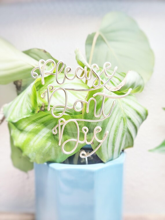 Please Dont Die - Wire Desk Plant Markers - Indoor Custom Herb Marker Garden Stake Potted Terrarium Succulent Reusable Metal Industrial Chic
