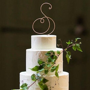 Peut inclure: Un gâteau de mariage blanc à trois étages décoré de vignes vertes et d'un topper en fil de cuivre en forme de lettre 'S'.