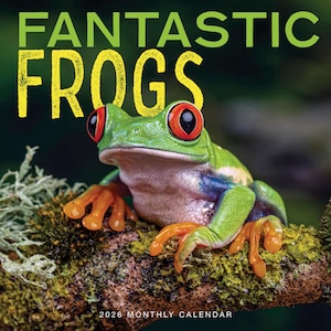 May include: A 2026 monthly calendar featuring a vibrant green frog with orange feet and large red eyes. The words "FANTASTIC FROGS" are in large yellow and green letters at the top, set against a blurred green background.