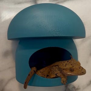 Gecko Mushroom Cave for Terrarium