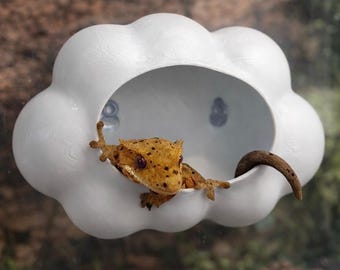 May include: A white cloud-shaped reptile hideaway with a gecko inside. The gecko is tan with dark spots and is partially visible, peeking out of the cloud. The hideaway is mounted on a clear surface.