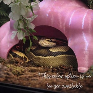 Reptile Cloud Hide for Terrarium