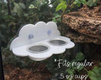 Gecko Cloud Food Ledge
