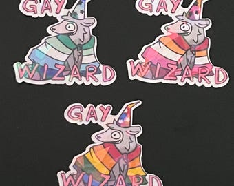 Gay Wizard - ARO/MLM/WLW Opossum Holo Sticker