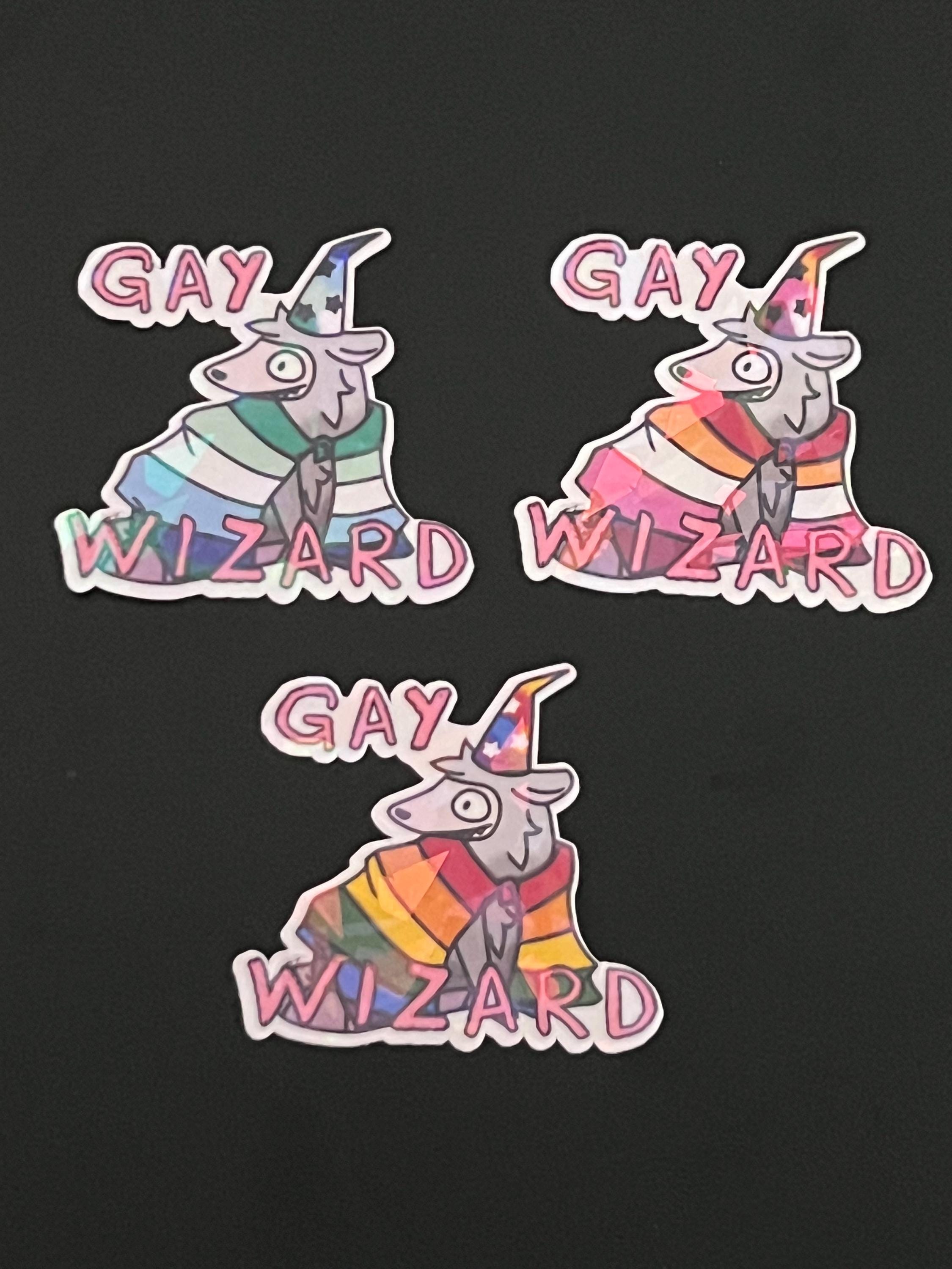 Gay Wizard - ARO/MLM/WLW Opossum Holo Sticker - Etsy