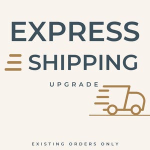 Express Shipping Upgrade for Existing Orders, Priority Shipping Upgrade, Etsy Order Upgrade