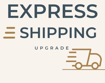 Express Shipping Upgrade for Existing Orders, Priority Shipping Upgrade, Etsy Order Upgrade