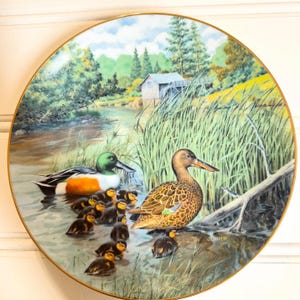 May include: Decorative plate featuring a detailed painting of ducks and ducklings in a serene waterside scene. The plate has a gold rim and depicts a male duck with a green head and white chest, a female duck, and several ducklings.