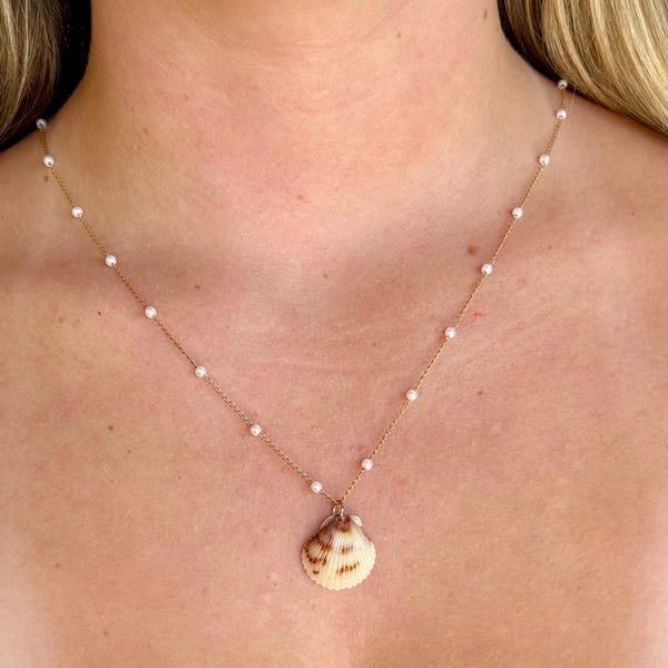 Real Scallop Shell Pendant Necklace: Gold Filled or Gold Plated Chain
