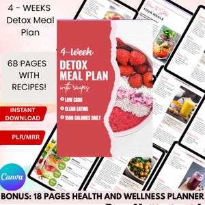 28 Days - 4 Week Detox Meal Plan, PLR, MRR, Low Carb Meal Plan, Weight Loss Plan, Healthy Weight Loss Meal Plan, Recipes, Printable, DFY. Bonus - Health and wellness planner, Weight Loss, Digital Products, Digital Download, Done For You