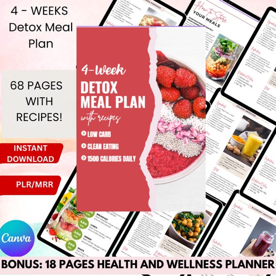 28 Days - 4 Week Detox Meal Plan, PLR, MRR, Low Carb Meal Plan, Weight Loss Plan, Healthy Weight Loss Meal Plan, Recipes, Printable, DFY