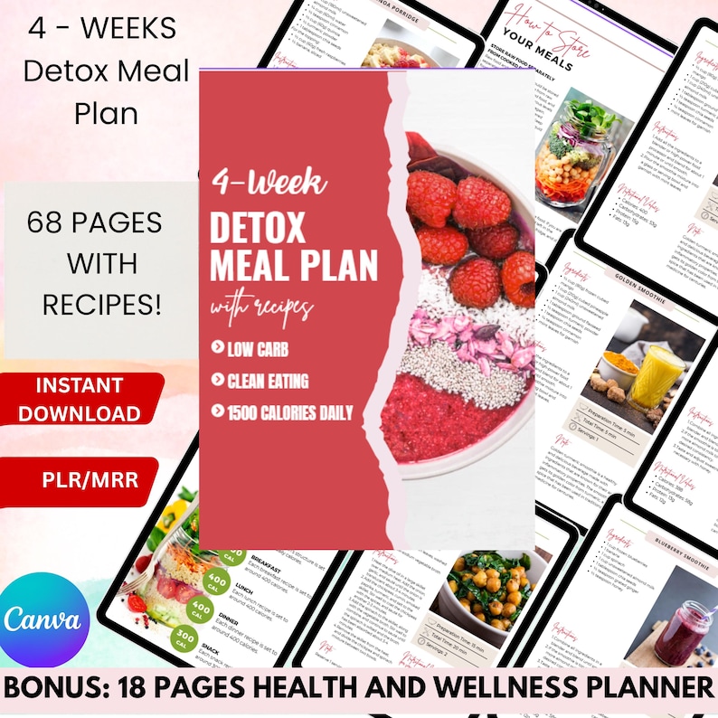 28 Days - 4 Week Detox Meal Plan, PLR, MRR, Low Carb Meal Plan, Weight Loss Plan, Healthy Weight Loss Meal Plan, Recipes, Printable, DFY. Bonus - Health and wellness planner, Weight Loss, Digital Products, Digital Download, Done For You