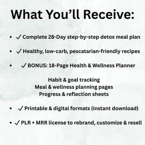 28 Tage - 4 Wochen Detox Speiseplan, PLR, MRR, Low Carb Speiseplan, Abnehmplan, Gesundes Abnehmen Speiseplan, Rezepte, Printable, DFY Bild 13
