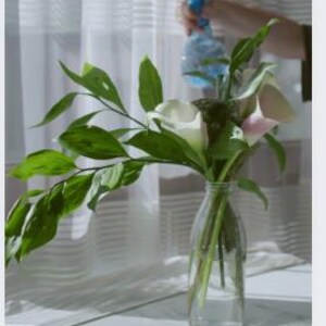 Op de afbeelding: Een heldere glazen vaas met calla's en groen. De witte en roze bloemen worden besproeid met een blauwe spuitfles. De vaas staat op een wit oppervlak bij een raam met transparante gordijnen.