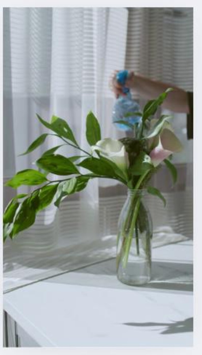 Op de afbeelding: Een heldere glazen vaas met calla's en groen. De witte en roze bloemen worden besproeid met een blauwe spuitfles. De vaas staat op een wit oppervlak bij een raam met transparante gordijnen.
