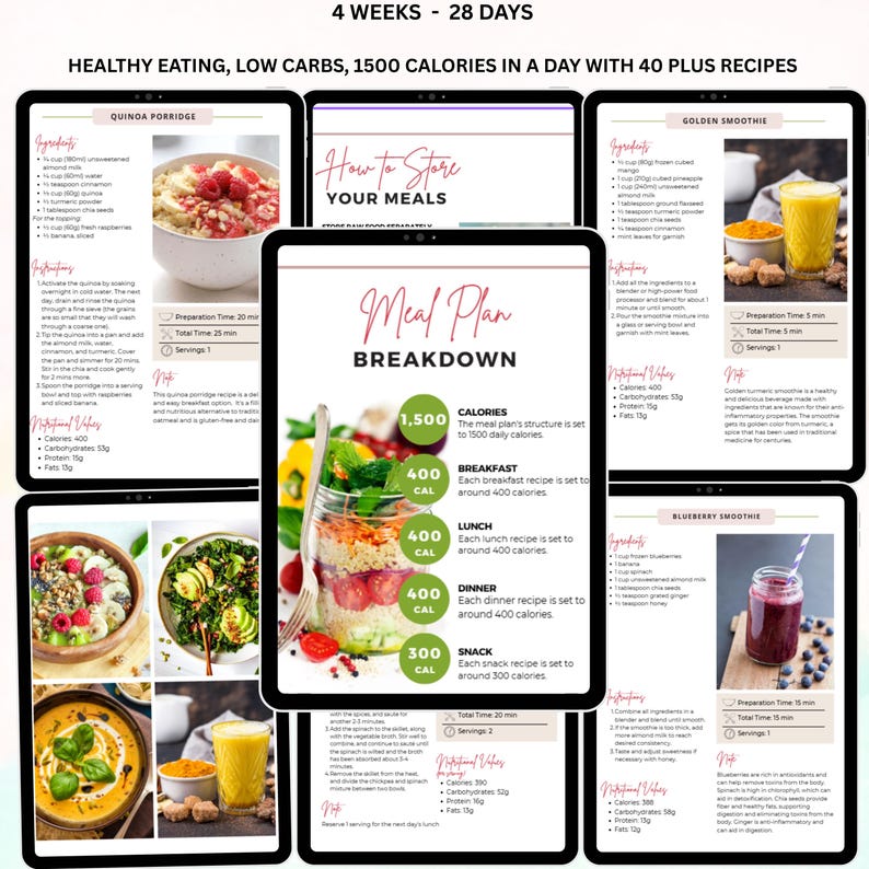 28 Tage - 4 Wochen Detox Speiseplan, PLR, MRR, Low Carb Speiseplan, Abnehmplan, Gesundes Abnehmen Speiseplan, Rezepte, Printable, DFY Bild 5
