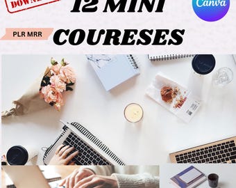 Paquete de 12 minicursos de marketing digital 101 PLR MRR Derechos de maestría Cursos de Instagram Negocios digitales MRR Digital para descarga instantánea