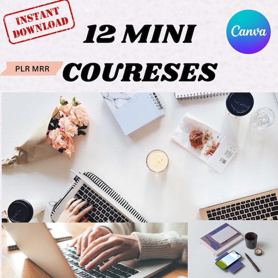 12 Mini Courses for Digital Marketing Bundle 101 PLR MRR Master Rights Instagram Courses Digital Business MRR Digital for Instant Download