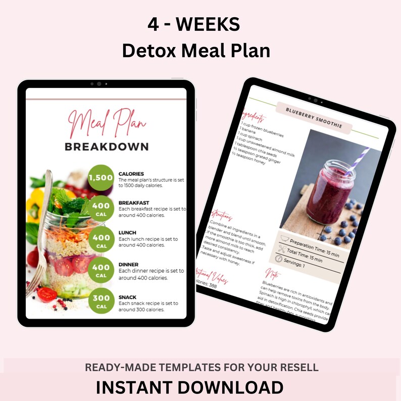 28 Tage - 4 Wochen Detox Speiseplan, PLR, MRR, Low Carb Speiseplan, Abnehmplan, Gesundes Abnehmen Speiseplan, Rezepte, Printable, DFY Bild 3